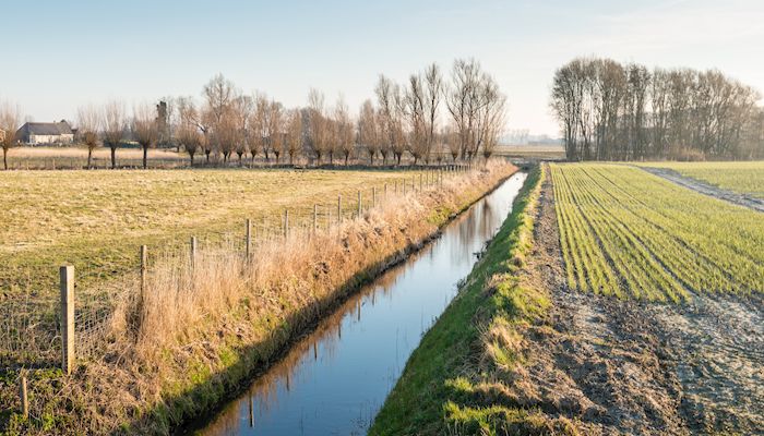 Tax Exemption from Water