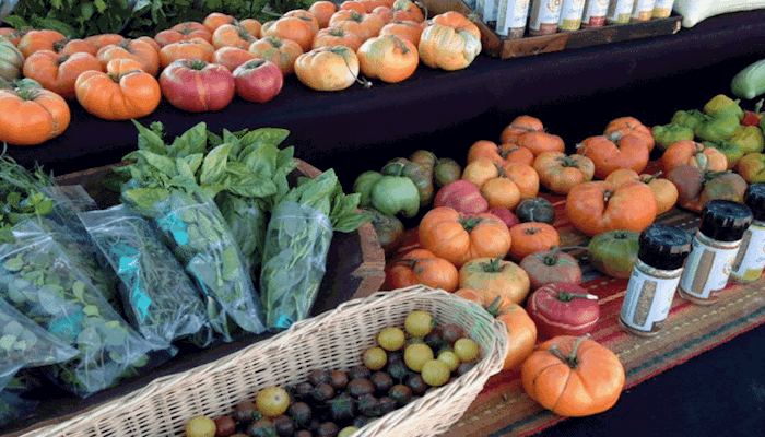 Why Farm Bureau Farmers Markets Should be on Your Back-To-School Schedule