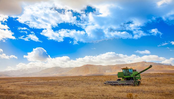 Video Helps Farmers, Ranchers Watch for Signs of Heat Stress, Exhaustion