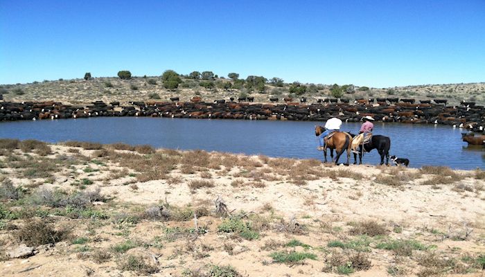 Federal Court Sends Illegal Water Rule Back to EPA 