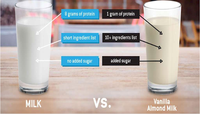 Survey Says: 86% of US Adults Prefer Dairy Milk and Large Margin Want Increased Milk Offerings in School Meals