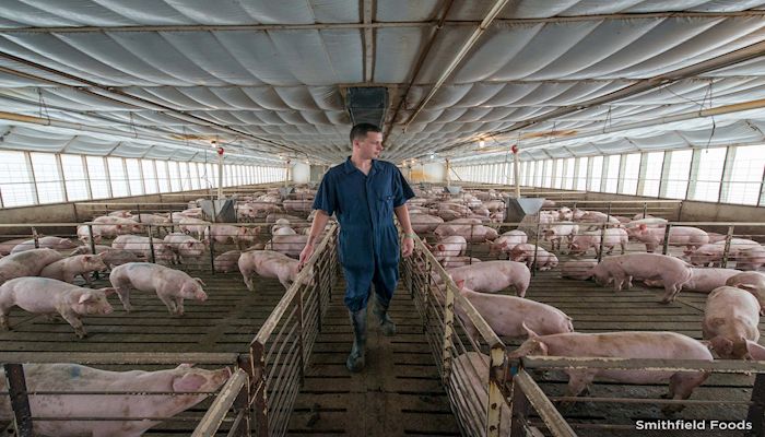 Dominion Energy and Smithfield Foods invest $500 Million dollars to become largest renewable natural gas supplier in U.S.