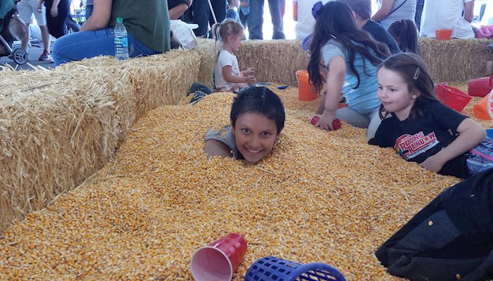 Corn Academy