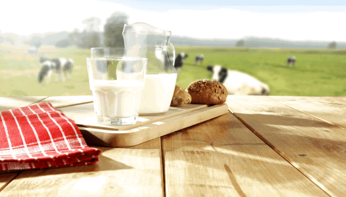 Breakfast on the Farm
