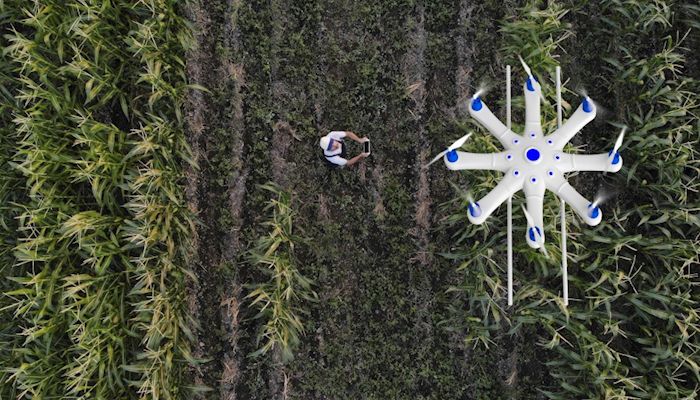 Driving the Future of Agriculture with Innovation