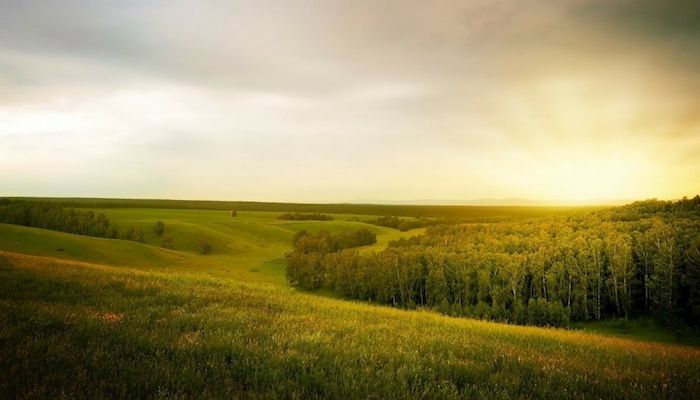 Farm Bureau Expecting Trade, Regulatory Progress in 2020
