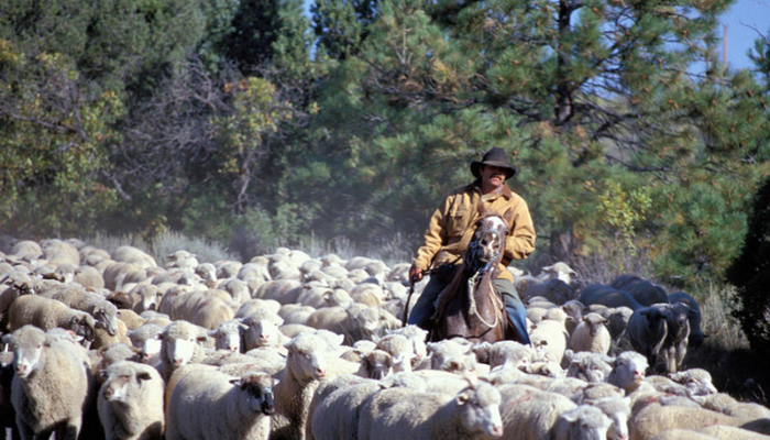 Century Farm and Ranch Designation