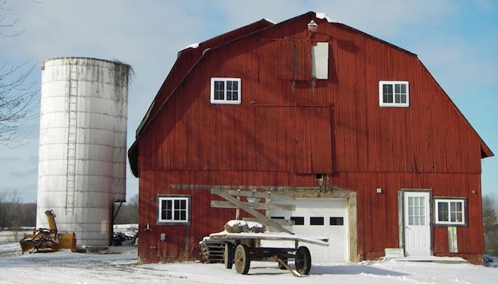 The Verdict Is In: Farm Bankruptcies Up in 2019