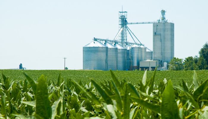 2020 Outlook Projects Principal Crops Rebound