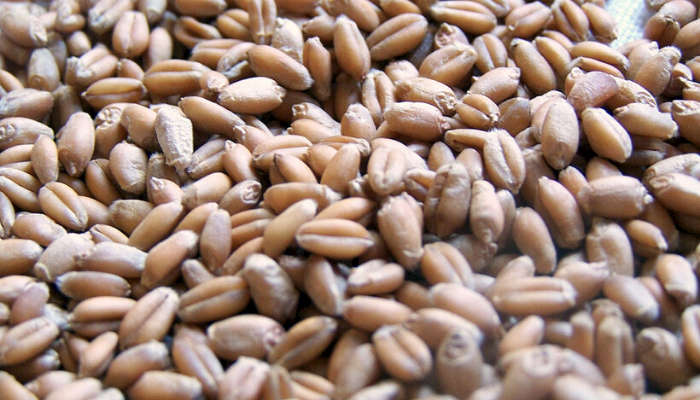 From Wheat to Flour--A Kitchen Staple