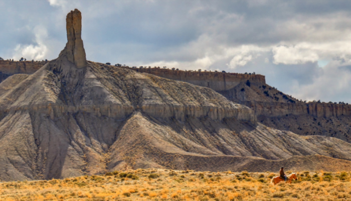 Carbon County Farm Bureau
