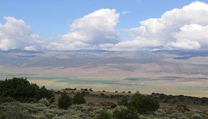 Piute County Farm Bureau