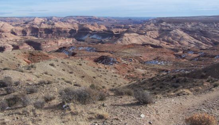 Wayne County Farm Bureau