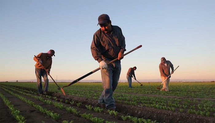 Farmers Prioritize Worker Health and Safety