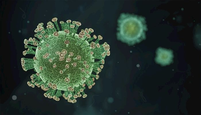 Coronavirus Sends Crop and Livestock Prices into a Tailspin