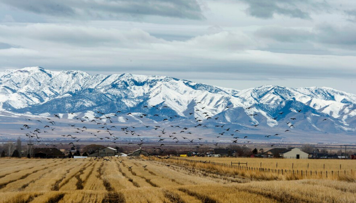 Tooele County Farm Bureau