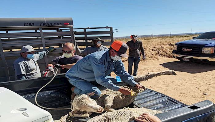 Farmers Feeding Utah is Making a Big Difference