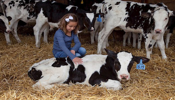 Celebrating Dairy Month