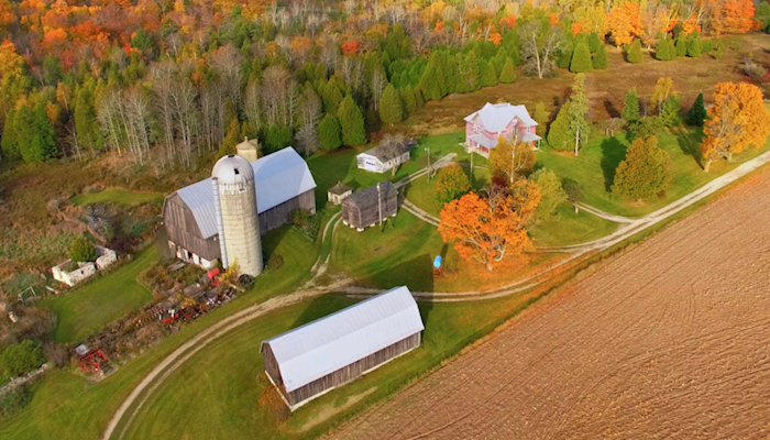 Mixed News on Farm Bankruptcies Amid Pandemic