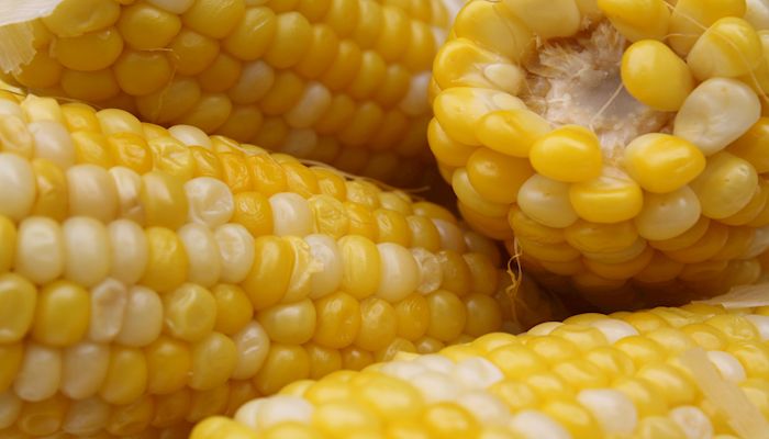 Mexican Sweet Corn Soup