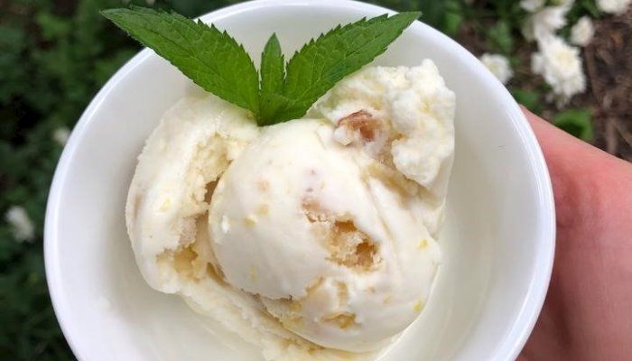 The Summer of Lemon Bar Sherbet