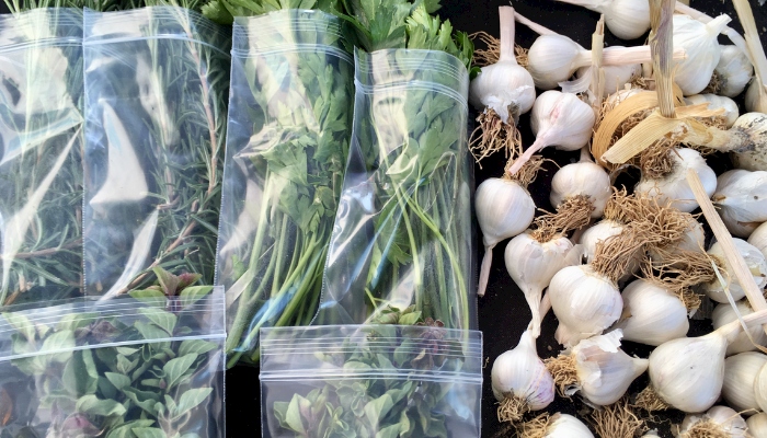 Let's Talk Herbs!