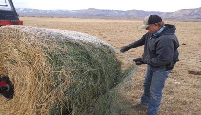 AgrAbility Helps Farmers Keep Doing What They Love