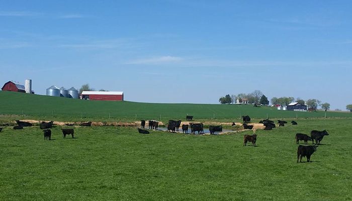 USDA Announces Additional Assistance for Cattle, Row Crop Producers