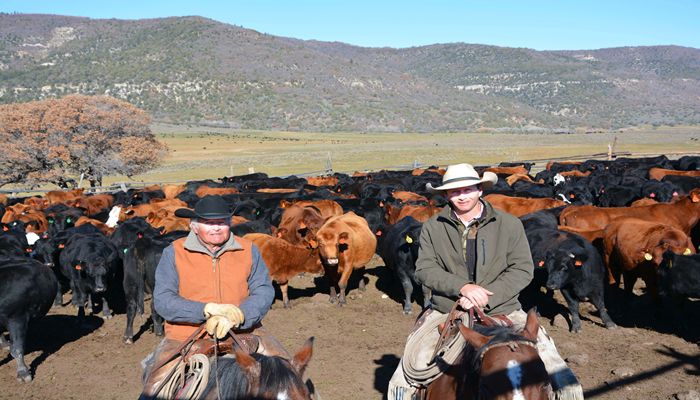 Estate Taxes Are A Threat to Family Farms