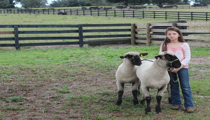 New Wool Laboratory to Add Critical Infrastructure for Utah’s Wool Industry