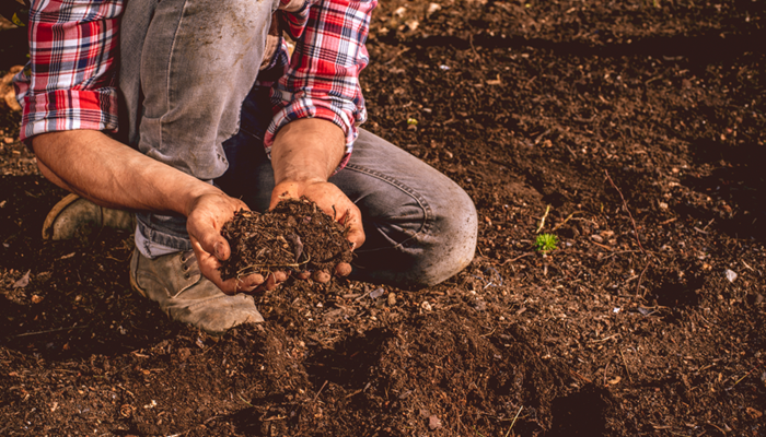 Scaling Mountains: Reflections from a Farm Bureau Leader
