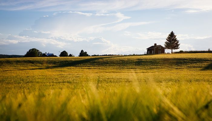 Bipartisan Growing Climate Solutions Act Makes it Easier for Farmers, Ranchers and Forest Owners to Benefit from Voluntary Carbon Markets