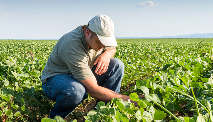 Farm Bureau Launches Farm State of Mind Resource Directory to Support Mental Health Month