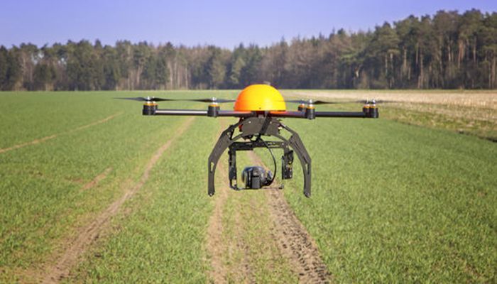 Pandemic Doesn’t Slow Down Ag Entrepreneurs