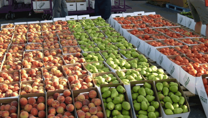 USDA Celebrates National Farmers Market Week