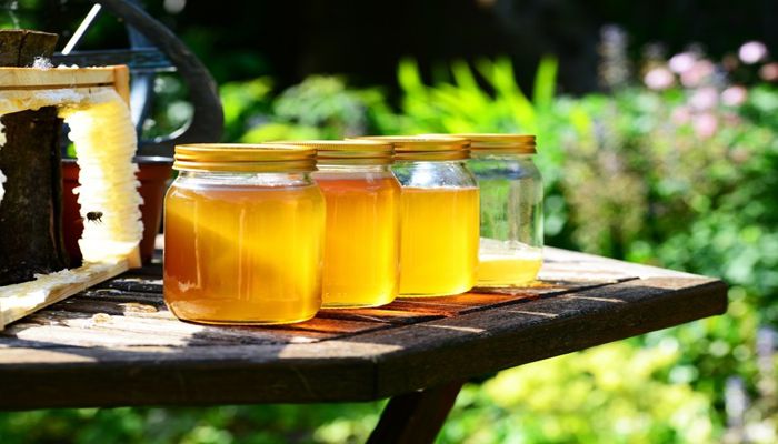 September is National Honey Month!