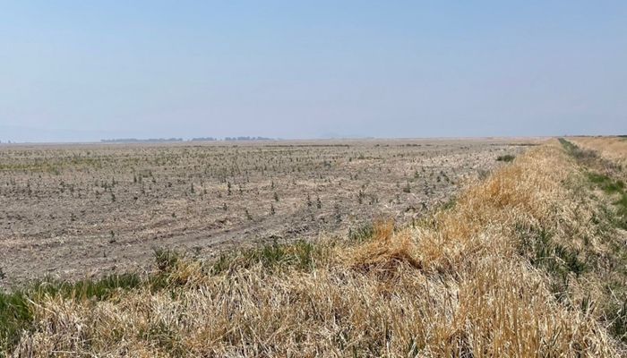 Farm Bureau Publishes Website on Drought and Responsible Water Management