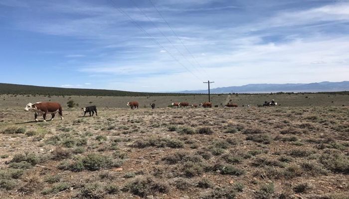 Western Farmers and Ranchers Cope with Drought and Look for a Way Forward