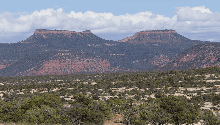 Utah Farm Bureau, State Executive & Legislative Leaders Express Disappointment in National Monument Expansion