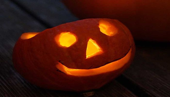 Happy National Pumpkin Day! 