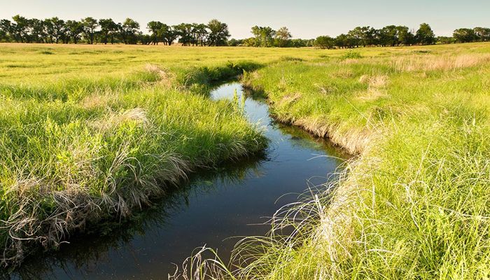 New Proposals Threaten to Roll Back Environmental Progress