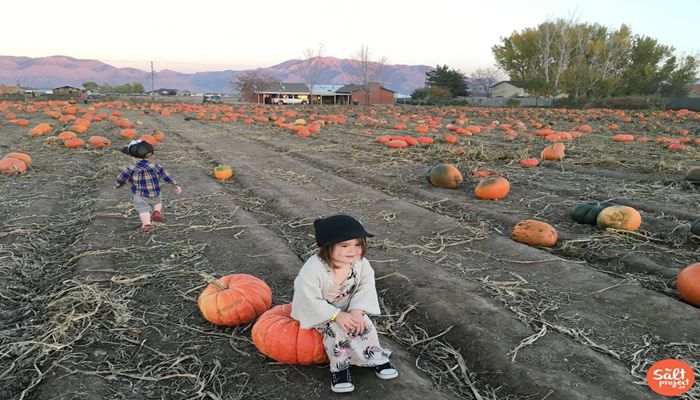 New Promotional Opportunity for Agritourism Venues