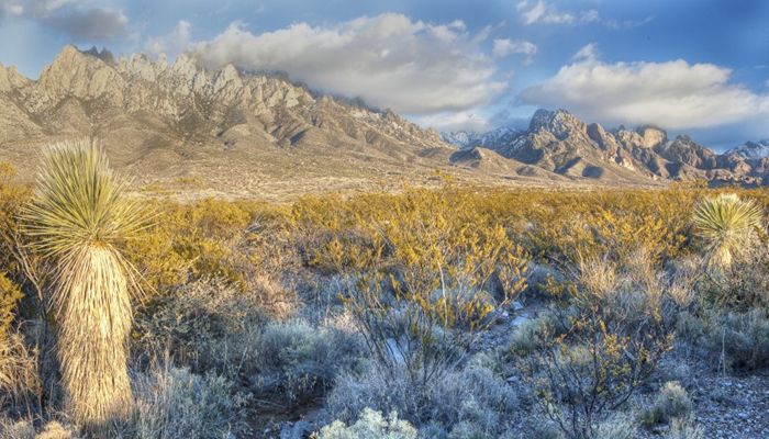 Western land issues and grazing discussed at annual convention
