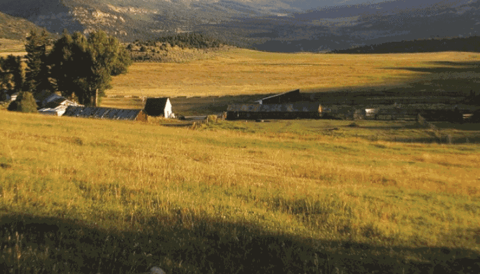 UDAF Releases Centennial Strategic Plan