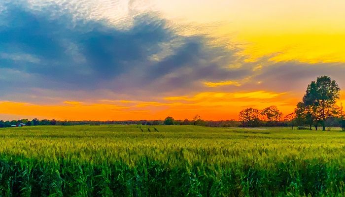 Farm Bureau Commends New Climate-Smart Pilot Projects