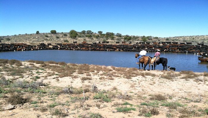 Farm Bureau Asks EPA to Withdraw Proposed WOTUS Rule
