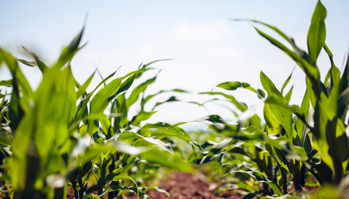 Soil Health in the West Conference and Beginners Workshop Takes Place Next Week in St. George