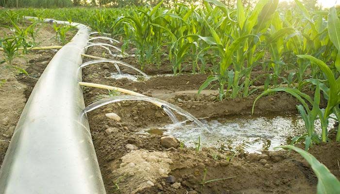 Deadline Approaching for UDAF Water Optimization Grant