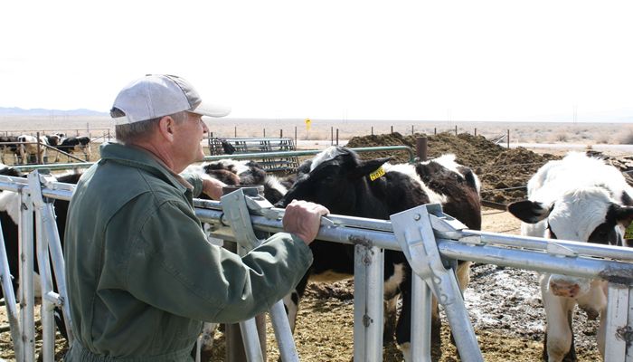 Focused on Quality: West Desert Dairy Goes to Great Lengths for Customers