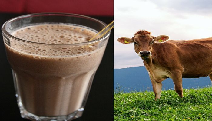 Healthy Diets Begin with Dairy